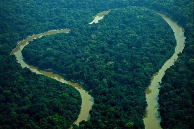 Amazônia Legal registra o menor número de desmatamento da história