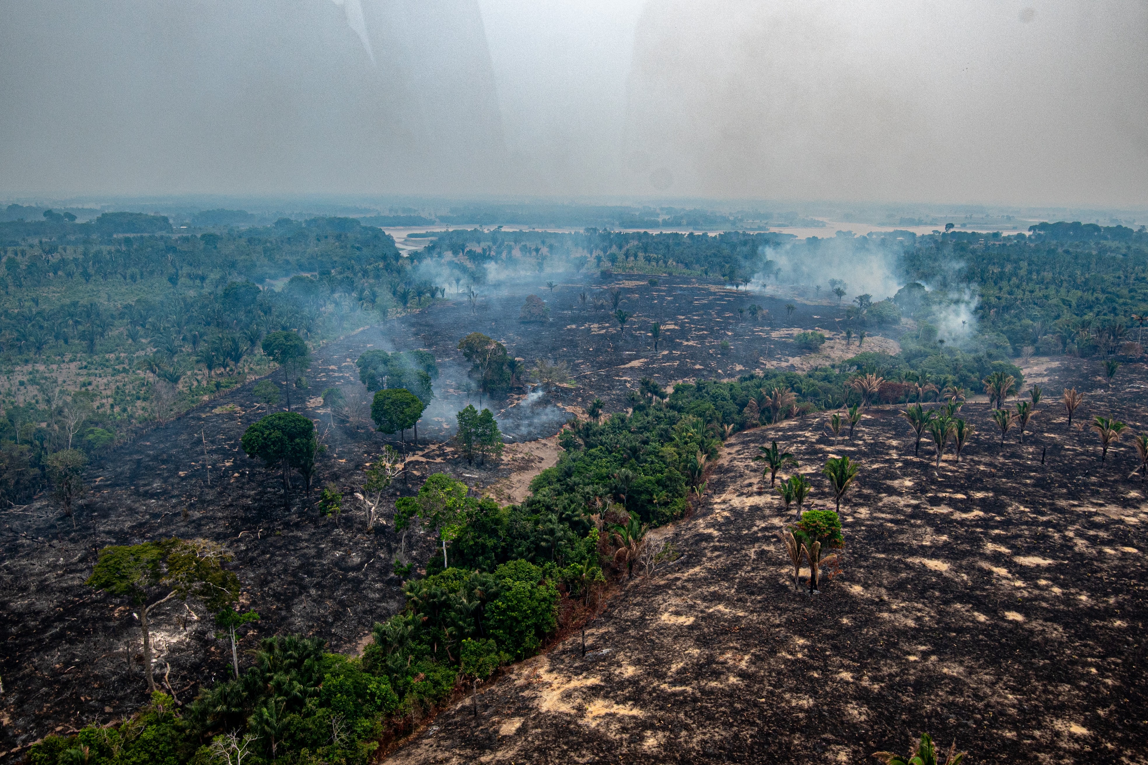 Amazonas registra queda de 39% nos focos de queimadas em outubro, aponta Inpe