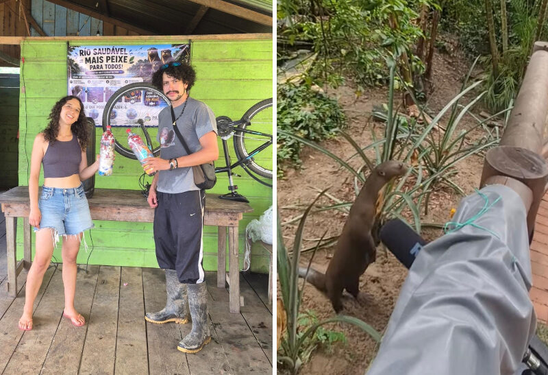 Festival das Ariranhas na Amazônia é tema de projeto de mestrado em Ribeirão Preto