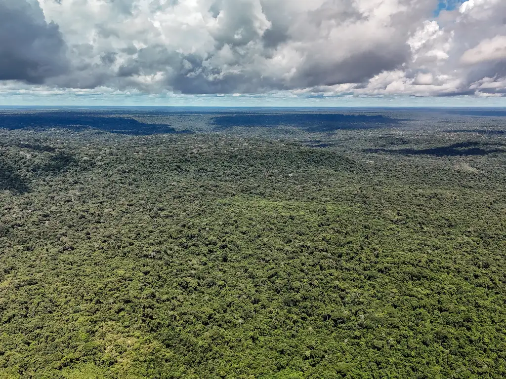 Amazônia Legal sob o bolsonarismo: importância e desafios de uma cobertura alinhada aos pressupostos do Jornalismo Ambiental