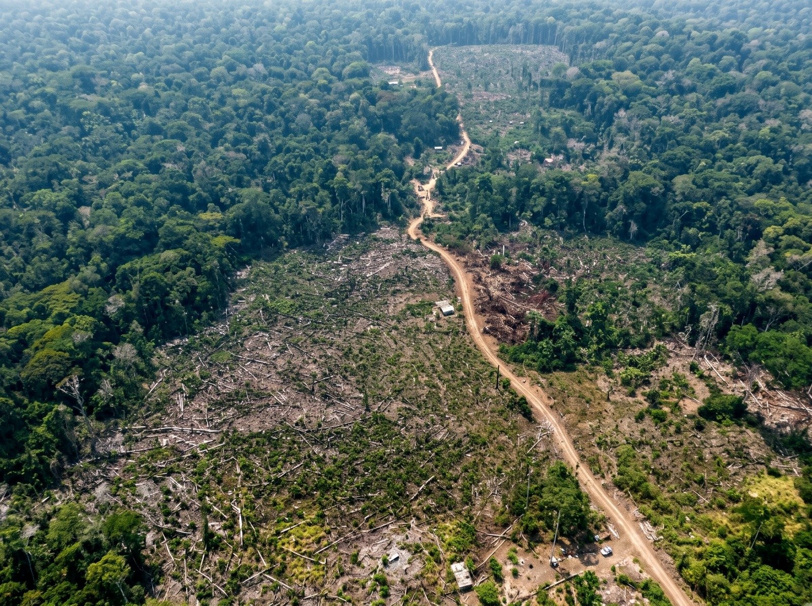 Área equivalente a 1,2 mil campos de futebol é embargada e multas por crimes ambientais somam R$ 8,5 milhões no AM